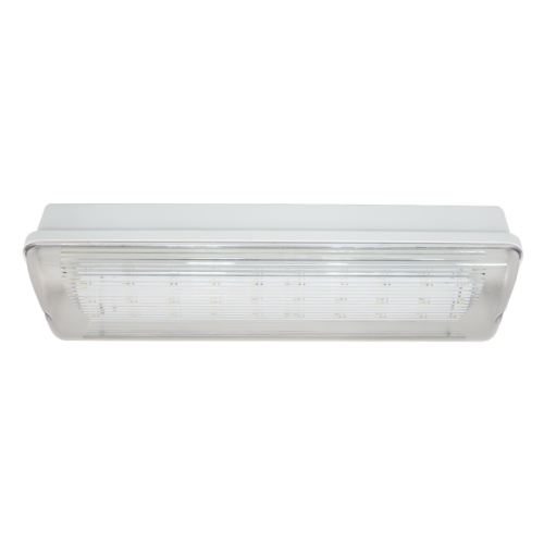 Аварийный светильник автономный SL-223-30LED1.8 (исп. 1)