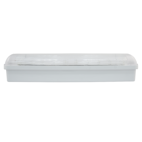 Аварийный светильник автономный SL-223-30LED1.8 (исп. 1)