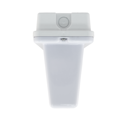 Аварийный светильник автономный SL-223-30LED1.8 (исп. 2)