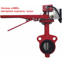 Затвор дисковый 3т 250/1,6(Р)-Ф.У3.1-